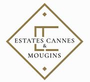 Недвижимость на Лазурном берегу